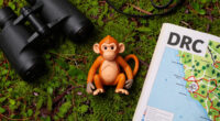 New monkey species with orange lips found 'hiding' in DRC forest