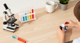 10 Best Educational Science Kits for Students in 2026