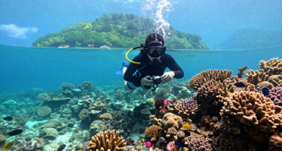 Great Barrier Reef, Queensland, Australia Surges In Global Coverage