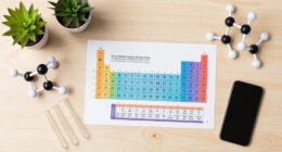 6 Best Educational Science Reference Kits for 2026