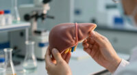 Why Is The Liver So Weirdly Regenerative?