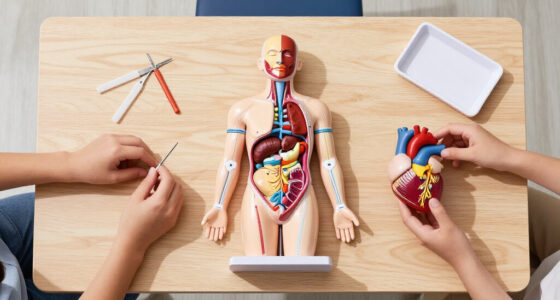 15 Best Educational Anatomy Models for Students in 2027