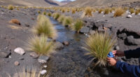 Google Is Supporting Water Resilience In Chile.